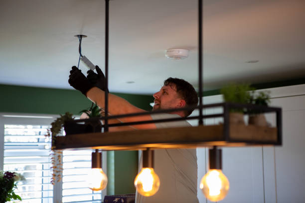Best Electric Panel Repair  in Merrionette Park, IL